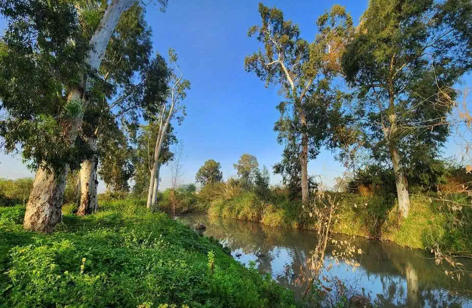ביבי תקשורת יח"צ. נחל הירקון. צילום: דימה מושקו
