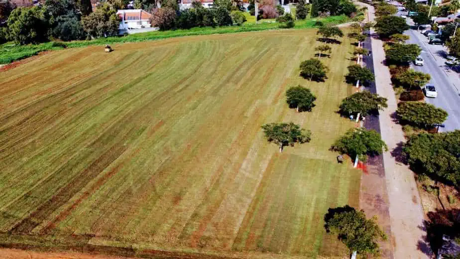 פארק מוצקין. צילום: אונו ניוז
