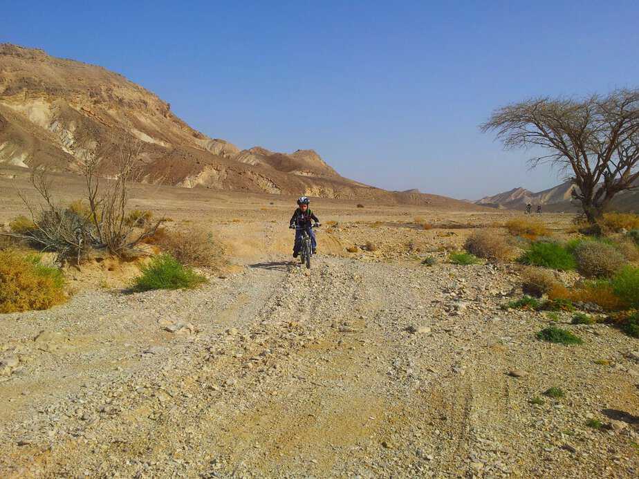 טיפים לרכיבה בטוחה על אופניים . צילום: יובל סרט, הערבה התיכונה