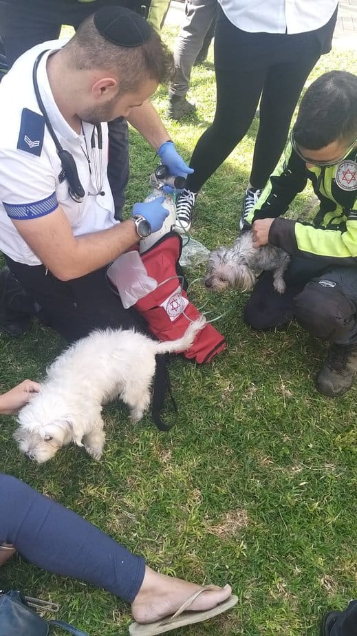 שריפה פרצה בדירה באור יהודה. צילום: תיעוד מבצעי, כבאות והצלה מחוז דן