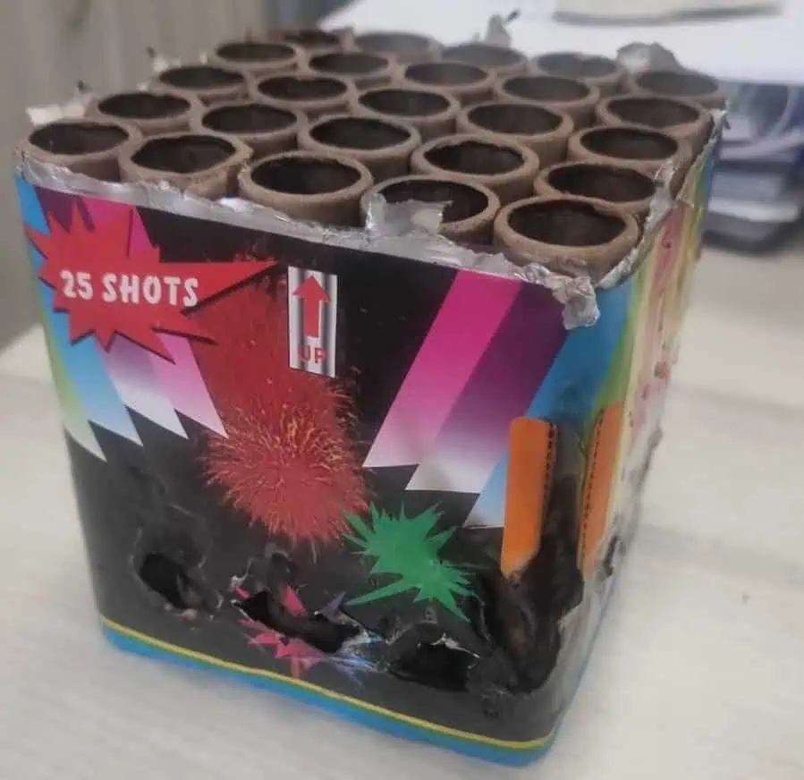 צילום: דוברות המשטרה