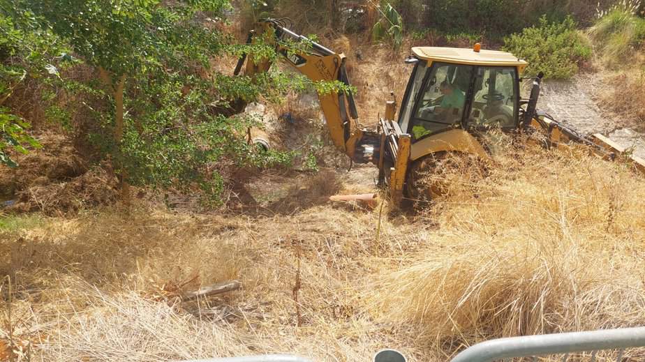 מטפלים במטרד היתושים תמונות – דוברות עיריית יהוד-מונוסון