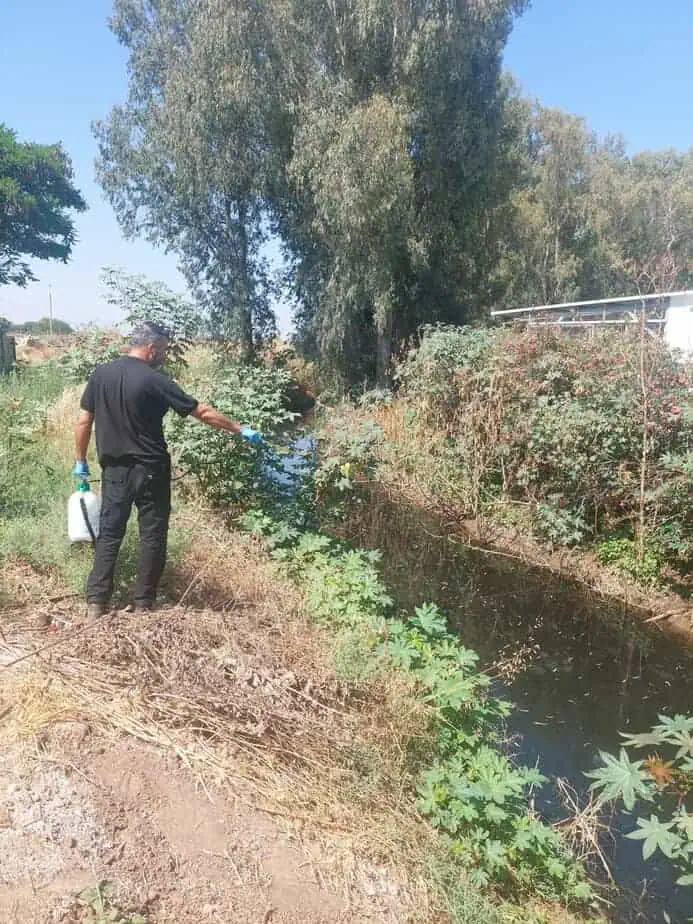מטפלים במטרד היתושים צילום: דוברות עיריית יהוד-מונוסון