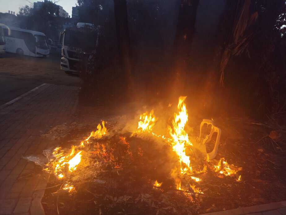 חשד להצתת צמחייה ועצי דקל. צילום: דוברות המשטרה