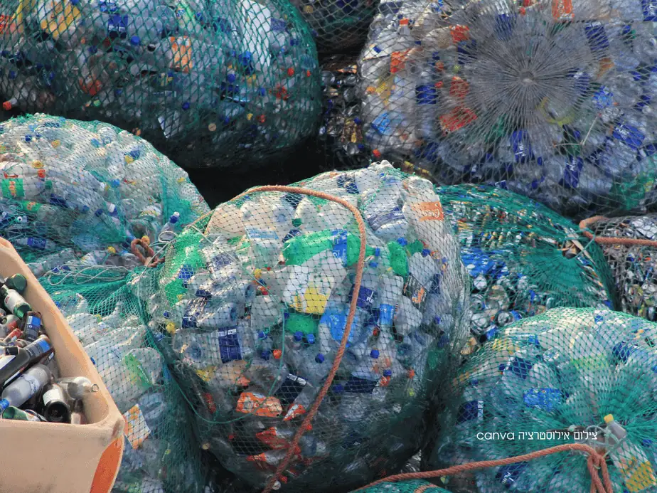 צילום אילוסטרציה canva