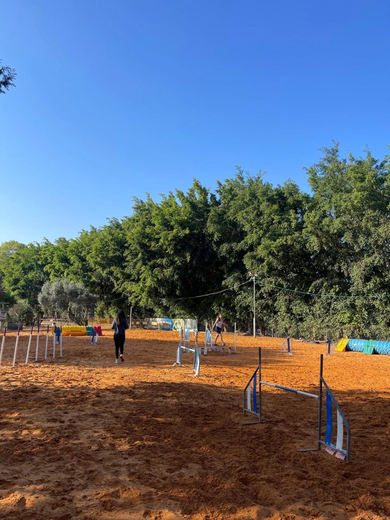 "בית ארז הום פט" – פנסיון לכלבים במשמר השבעה. צילום יח"צ