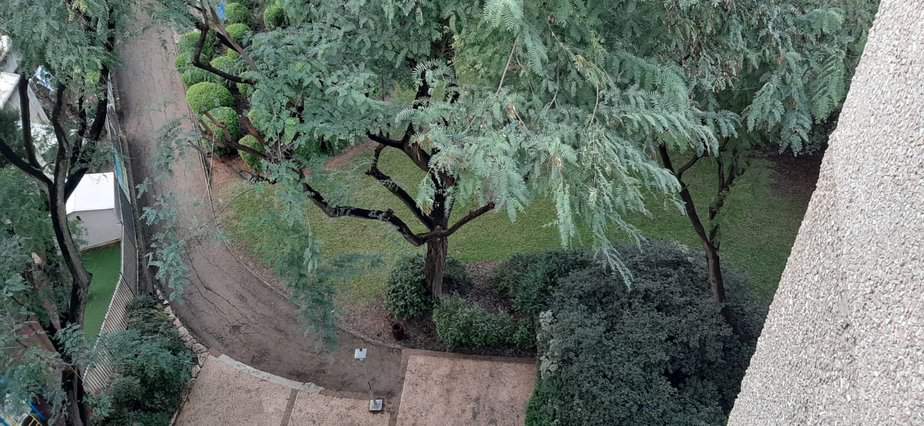 שכונת רימון קריית אונו. צילום באדיבות התושבים