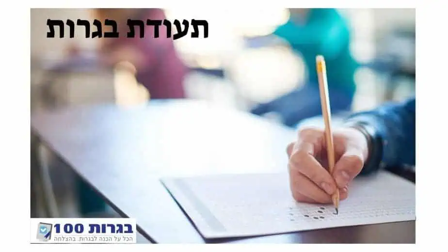 בסט לינקס קרדיט התמונה: CANVAתעודת-בגרות_1741268663961