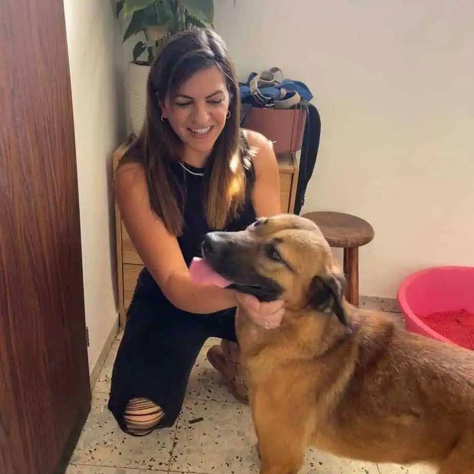 מורן והכלבים. צילום פרטי