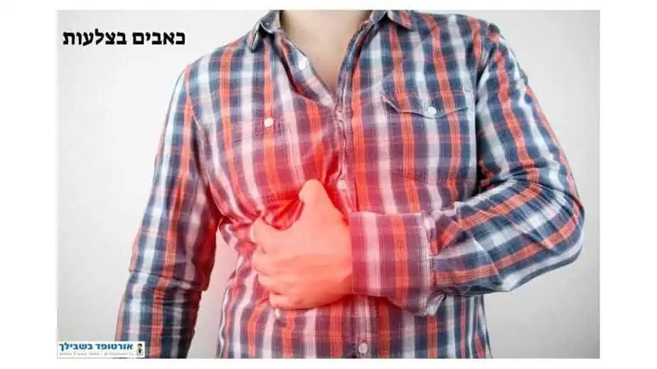 בסט לינקס CANVAמים-אלקליים_1745440647906