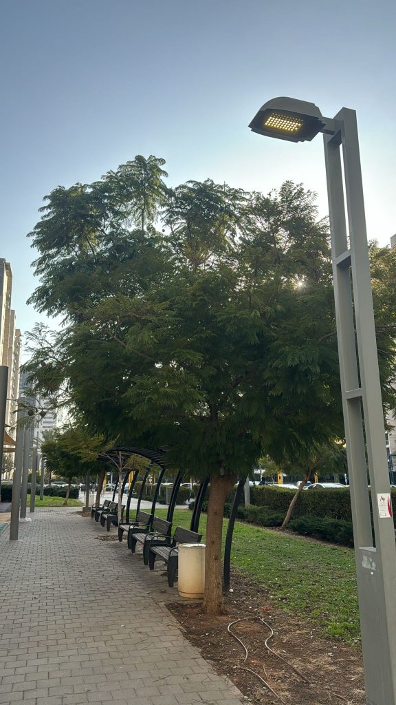 תאורת לד בגני תקווה. צילום: דוברות עיריית גני תקווה