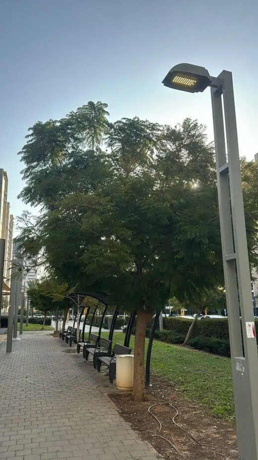 תאורת לד בגני תקווה. צילום: דוברות עיריית גני תקווה