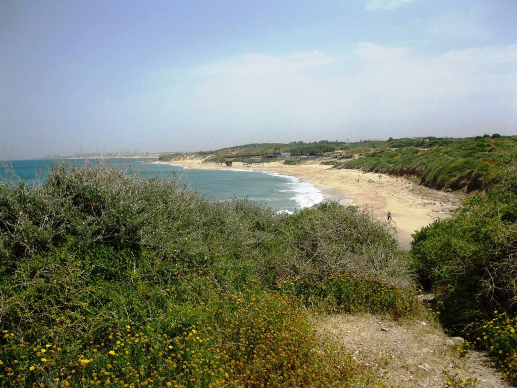 גן לאומי חוף פלמחים. צילום: אייל מטרני רשות הטבע והגנים