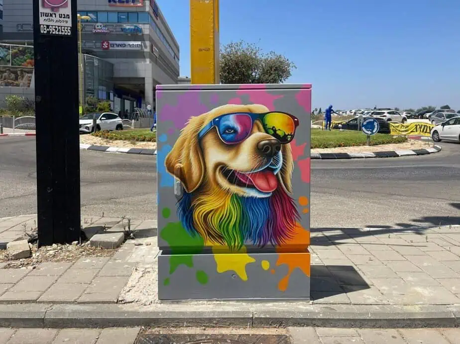 שלומי ישראל אמן רחוב. צילום פרטי