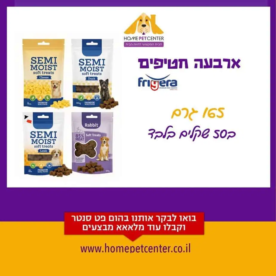 הום פט מבצעי אוגוסט