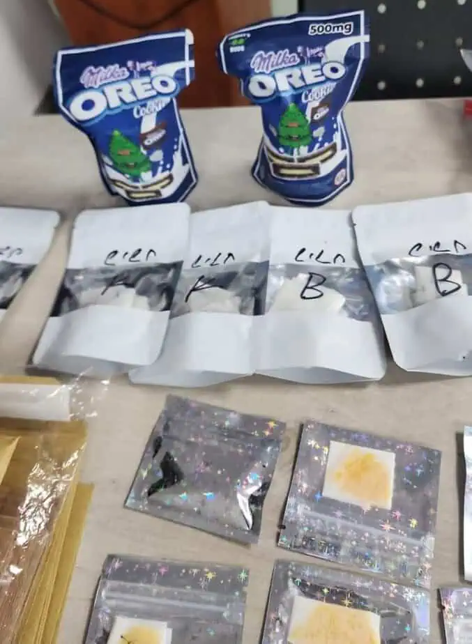 החומרים החשודים כסם שנתפסו. קרדיט צילום: דוברות המשטרה.