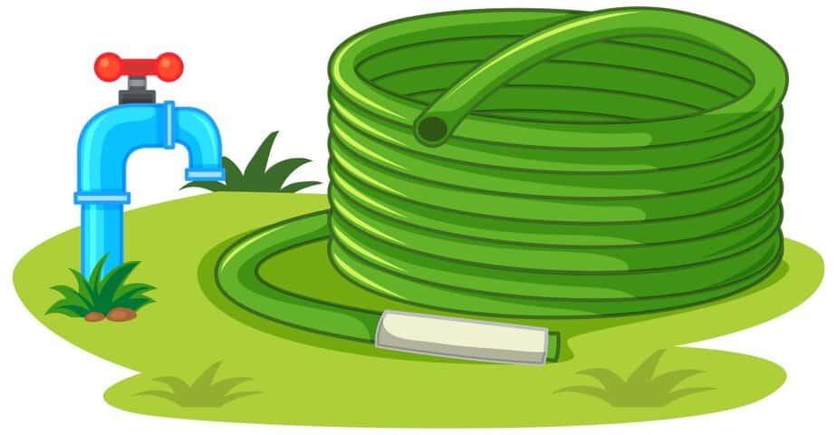 מגה לינקס קרדיט FREEPIK11862320_21235065