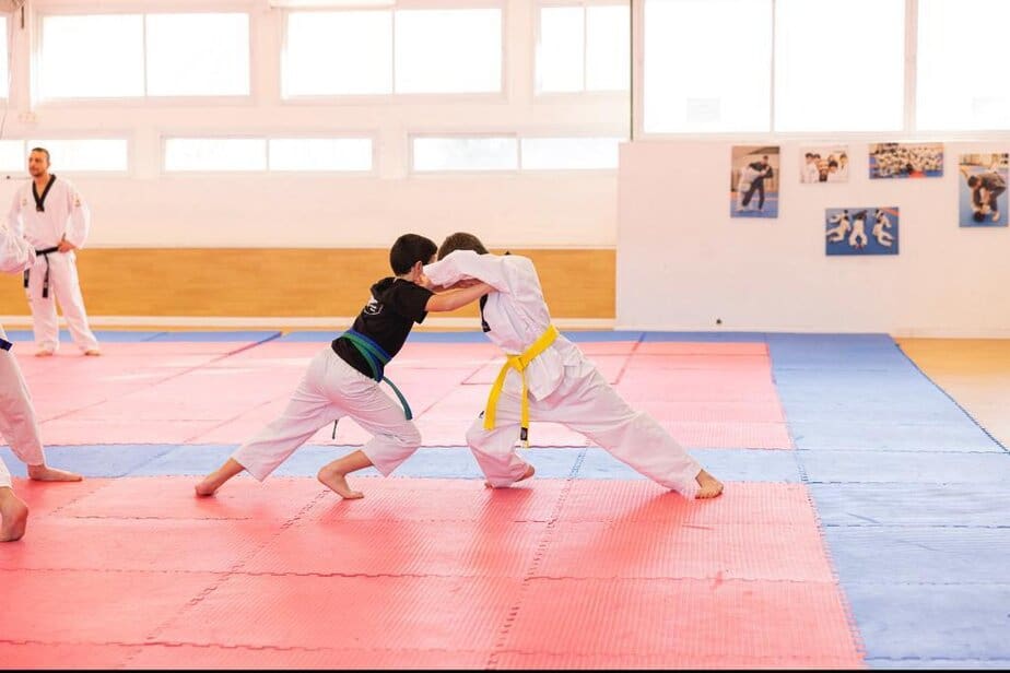 צילום: טלקוונדו