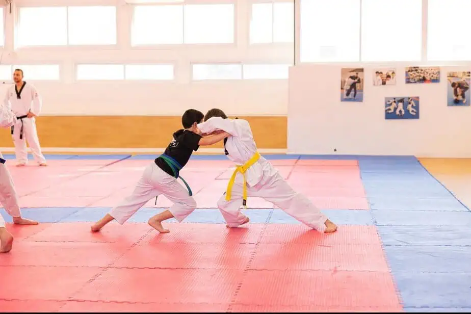 צילום: טלקוונדו