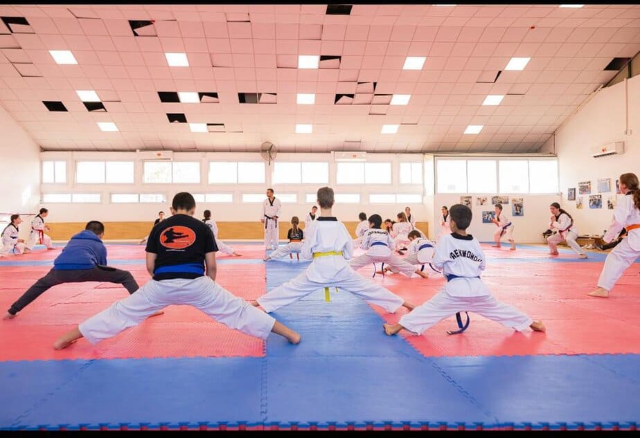 צילום: טלקוואנדו