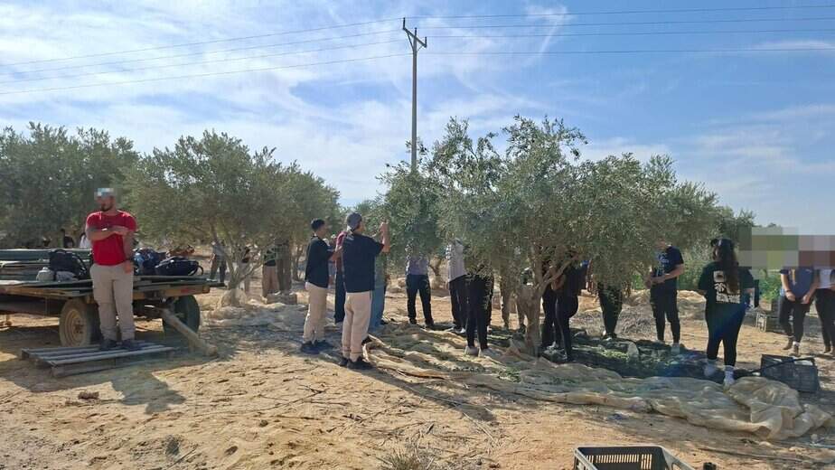 תלמידי י"ב בגבעת שמואל – שבוע הכנה לצבא ולחיים הבוגרים. צילום: תיכון גבעת שמואל