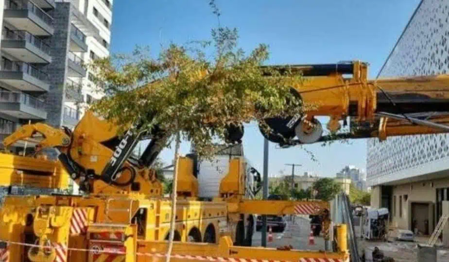 זרוע מנוף משאית נפל סמוך לגן ילדים בגבעת שמואל. צילום: דוברות עיריית גבעת שמואל