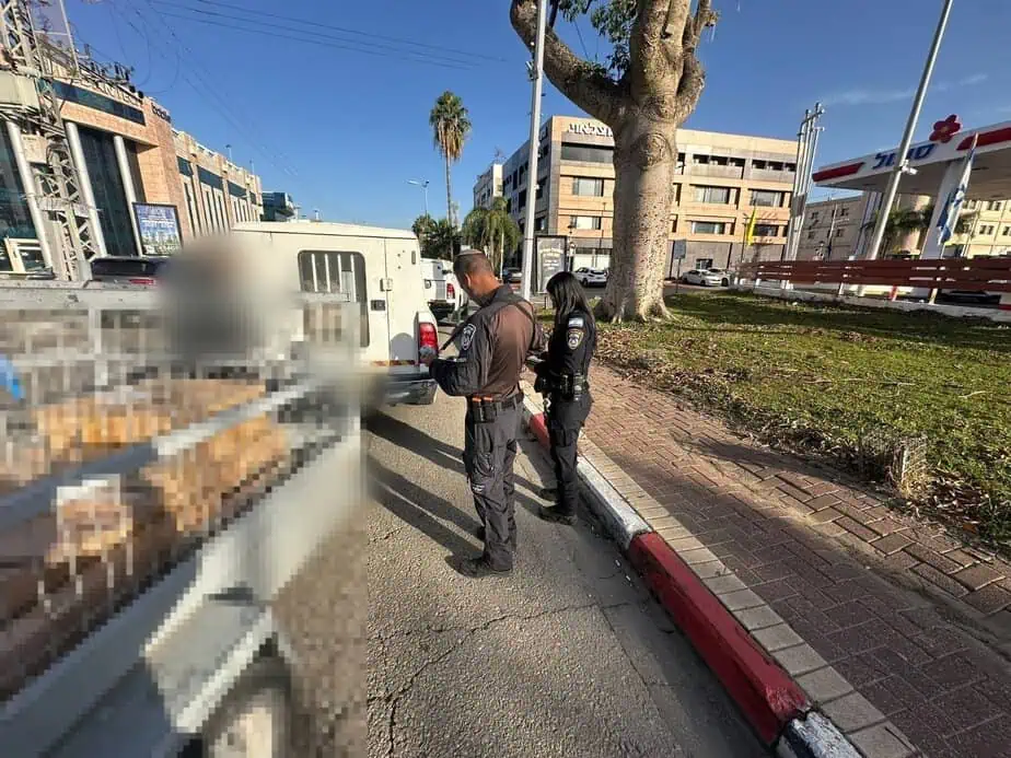 מבצע אכיפה נרחב בעיר אור יהודה. צילום: דוברות משטרת ישראל