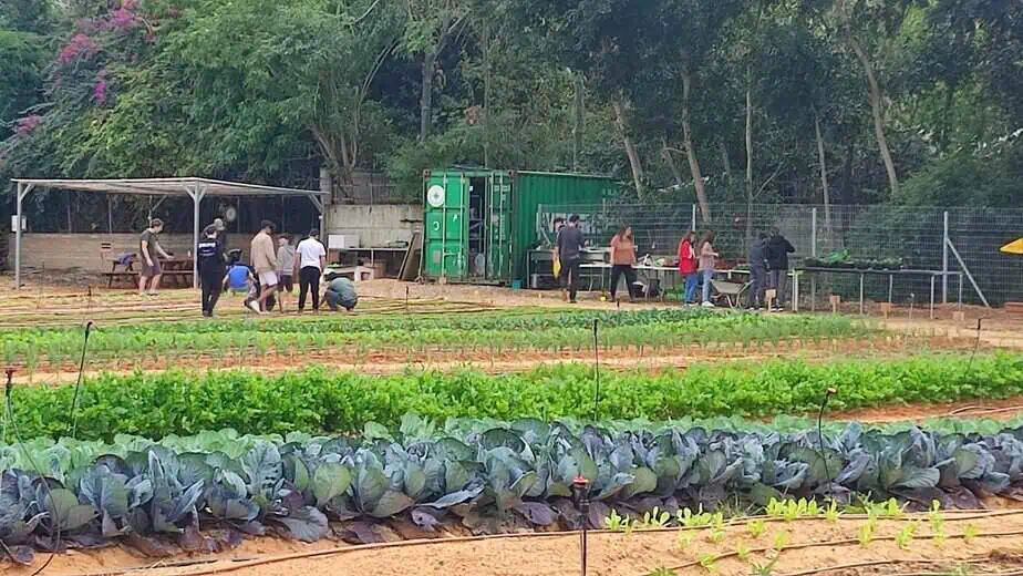 החווה החקלאית בגני תקווה. צילום: באדיבות החווה החקלאית