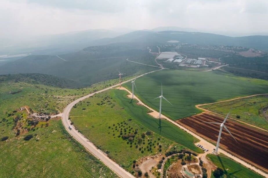 פריחה בגילבוע