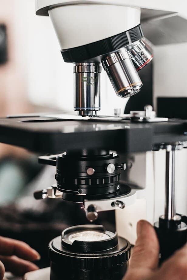 SEO ראש קרדיט-Photo by Logan Gutierrez on Unsplashמה באמת קורה בתוך מעבדות כימיות בתעשייה ובמחקר