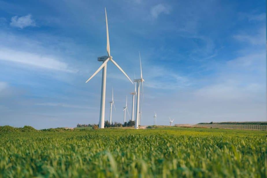 פריחה בצפון