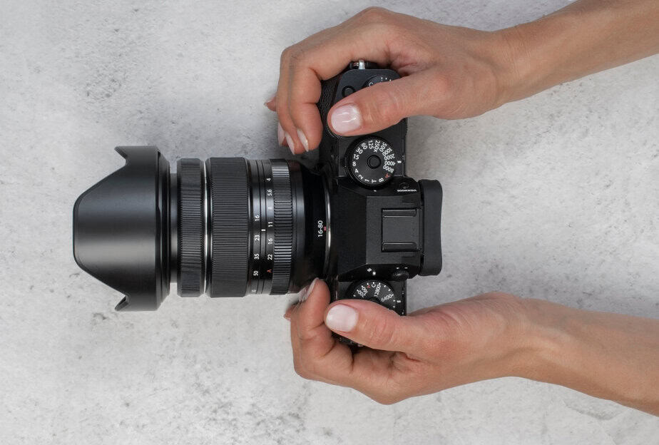 מגה לינקס צילום: FREEPIK2150630637