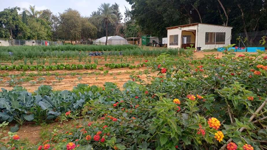 החווה החקלאית בגני תקווה. צילום: דוברות עיריית גני תקווה
