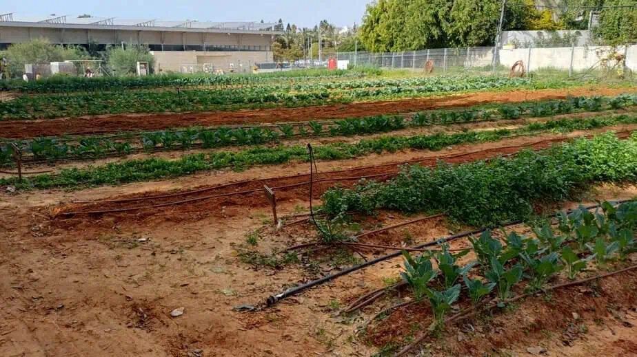 החווה החקלאית בגני תקווה. צילום: דוברות עיריית גני תקווה