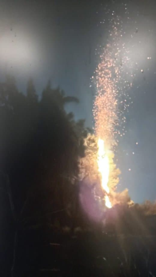 שרפה בשטח פתוח באזור רחוב רוקח, סמוך לפארק הירקון. צילום: כיבוי אש והצלה