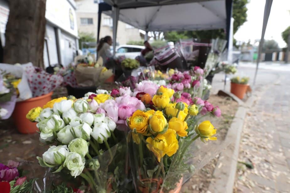מיזם פרח השכונות. צילום: איתן אלחדז ברק