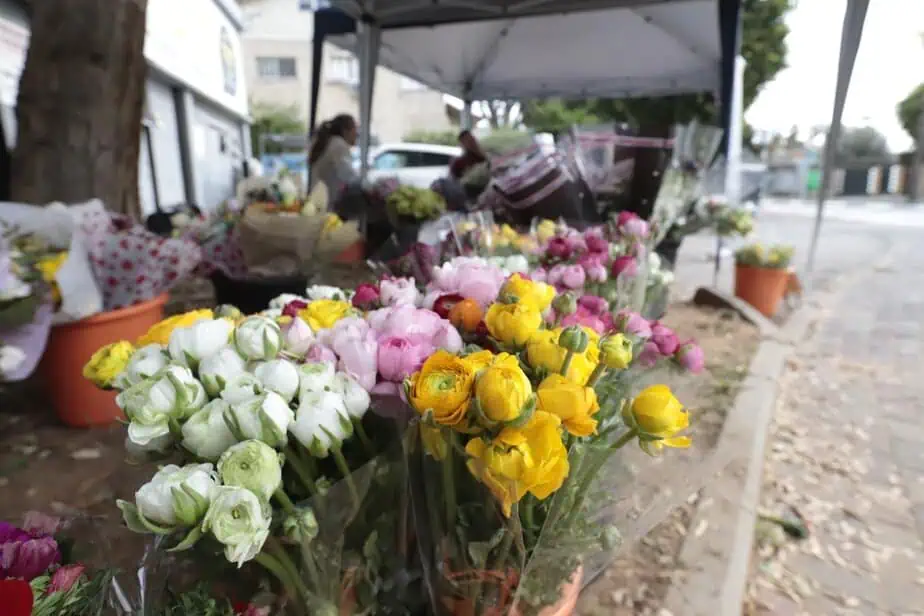 מיזם פרח השכונות. צילום: איתן אלחדז ברק