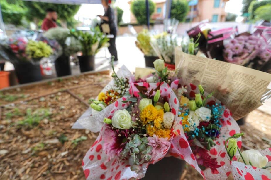 מיזם פרח השכונות. צילום: איתן אלחדז ברק