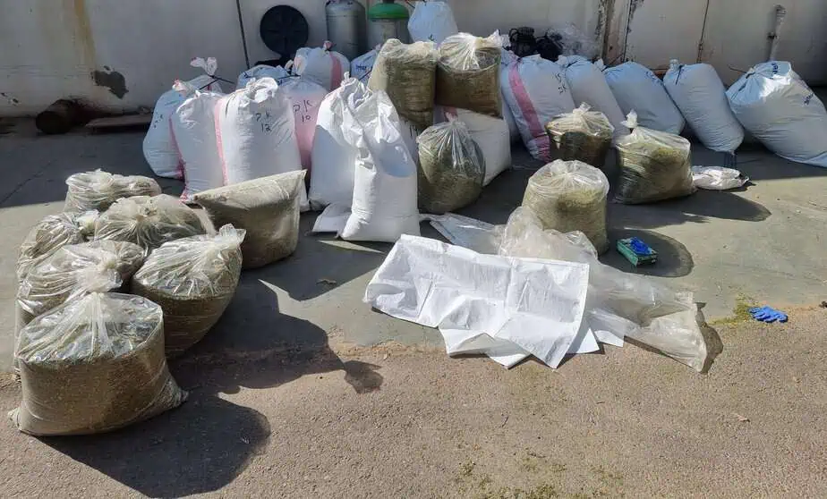 תיעוד 350 ק"ג חומר החשוד כסם. צילום: דוברות המשטרה.