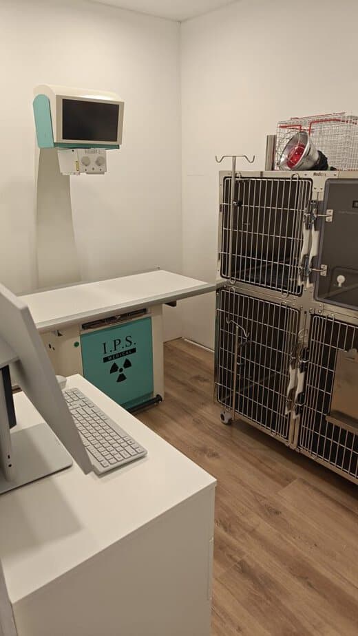 טל ולימור מרפאה וטרינרית בגני תקווה. צילום באדיבות המקום