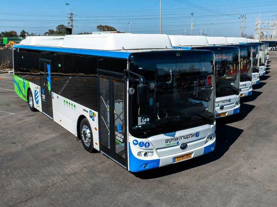 קווי הלילה של אלקטרה אפיקים חוזרים לקיץ