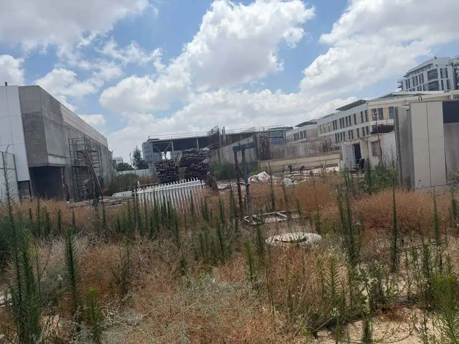 הקמת מרכז קהילתי בבית בפארק אור יהודה. צילום: אונו ניוז