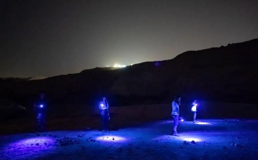 הפארק האקולוגי מצודת-ים אשדוד. צילום: החברה להגנת הטבע
